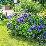 Therese By Interhome דירה *