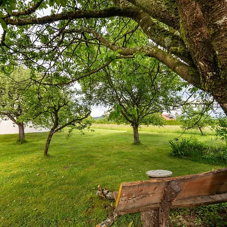 Therese By Interhome *