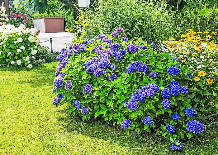 Therese By Interhome Appartement *