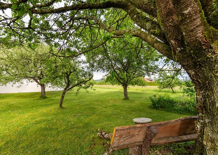 Therese By Interhome *